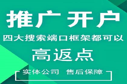 百度推广广告案例：快速抢占市场份额
